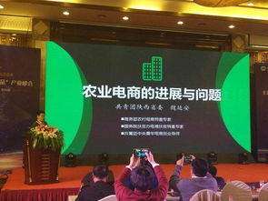 全國首屆“百縣百品”產(chǎn)品峰會圓滿落幕，區(qū)域品牌共繪鄉(xiāng)村振興新篇章